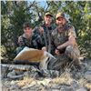 Image 5 : Texas Ranch Hunt for Exotics or Whitetail Deer