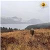 Image 2 : Kodiak Raspberry Island Remote Lodge Five Day Hunt Package for Two