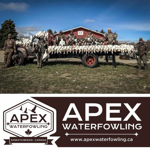 Spring Snow Goose Hunt in Saskatchewan for Two
