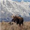 Image 6 : Grand Teton National Park Two Person Vacation and Photography Tour