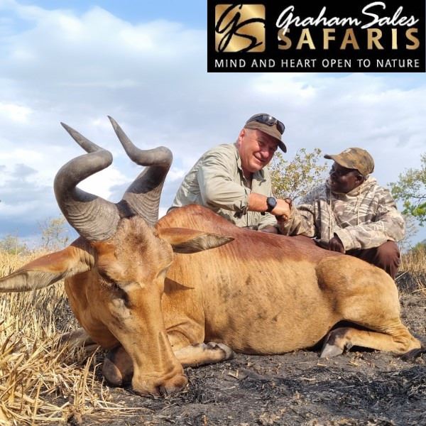 Seven Day South Africa Safari for Two Including Red Hartebeest or Zebra for Each