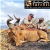 Image 1 : Seven Day South Africa Safari for Two Including Red Hartebeest or Zebra for Each