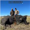 Image 1 : Five Day Trophy Red Stag and Water Buffalo Hunt in Argentina
