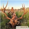 Image 2 : Five Day Trophy Red Stag and Water Buffalo Hunt in Argentina