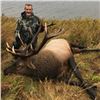 Image 2 : Alaska Governor's Raspberry Island Roosevelt Bull Elk Permit (SE702-704)