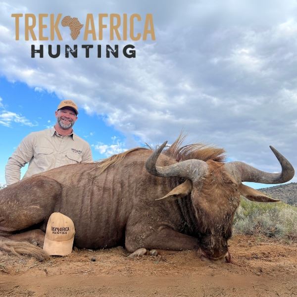 South African Blue, Black and Golden Wildebeest Safari for Two