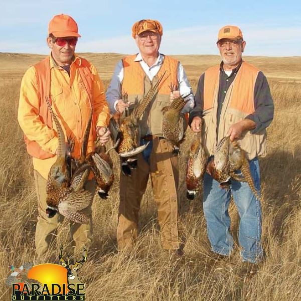 South Dakota Pheasant Hunt for Three