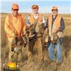 Image 1 : South Dakota Pheasant Hunt for Three