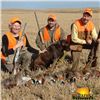 Image 4 : South Dakota Pheasant Hunt for Three