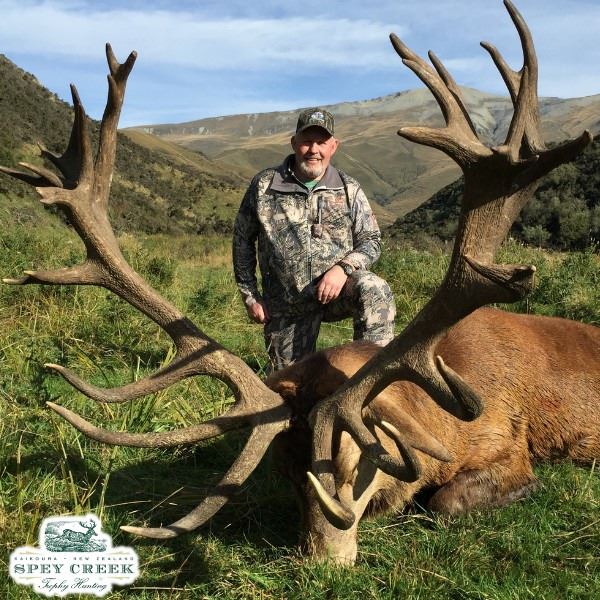 Red Stag Hunt in New Zealand with Spey Creek