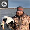 Image 7 : Kodiak Trophy Sea Duck, Sitka Black-Tailed Deer, and Fox Combo Hunt for Two