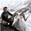 Image 1 : Alaska Governor's Tok Management Area Dall Sheep Permit (SS102)