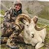 Image 2 : Alaska Governor's Tok Management Area Dall Sheep Permit (SS102)