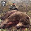 Image 3 : Twelve Day Trophy Brown Bear Hunt on the Alaska Peninsula