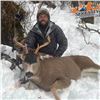 Image 4 : Alaska Boat-Based Sitka Blacktail Deer and Sea Duck Combo Hunt for Six