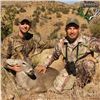 Image 3 : Two Person, Five Day Arizona Coues Deer Hunt with Bonus Mountain Lion