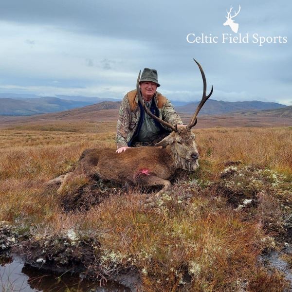Scotland Red Stag and Roe Deer Hunt for One Hunter and Observer