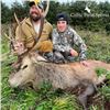 Image 3 : Scotland Red Stag and Roe Deer Hunt for One Hunter and Observer