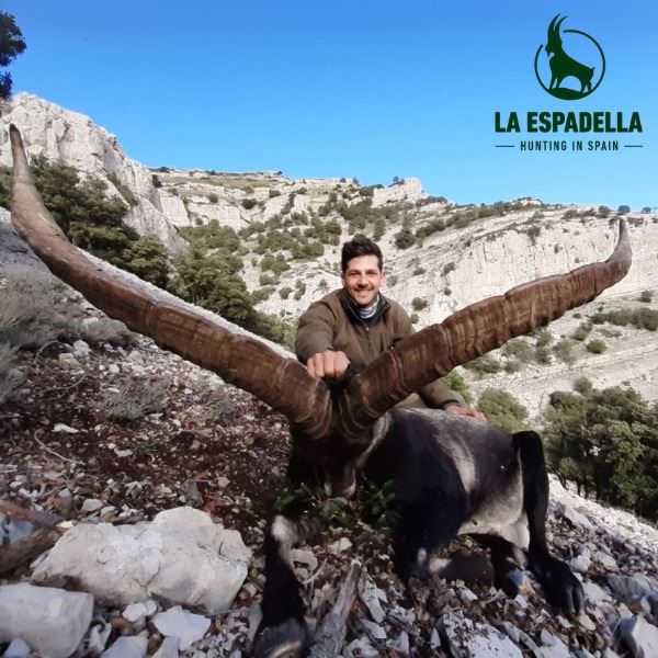 Beceite Ibex Hunt in Spain