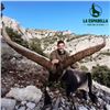 Image 1 : Beceite Ibex Hunt in Spain