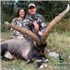 Image 3 : Beceite Ibex Hunt in Spain