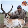 Image 1 : Trophy Pronghorn Hunt in New Mexico