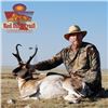 Image 2 : Trophy Pronghorn Hunt in New Mexico