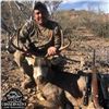 Image 1 : Baja Blacktail Deer Hunt for One in Mexico