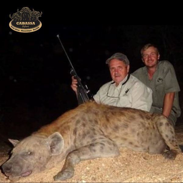 10-Day Mozambique Safari for Spotted Hyena with SA Big Five Photographic Experience