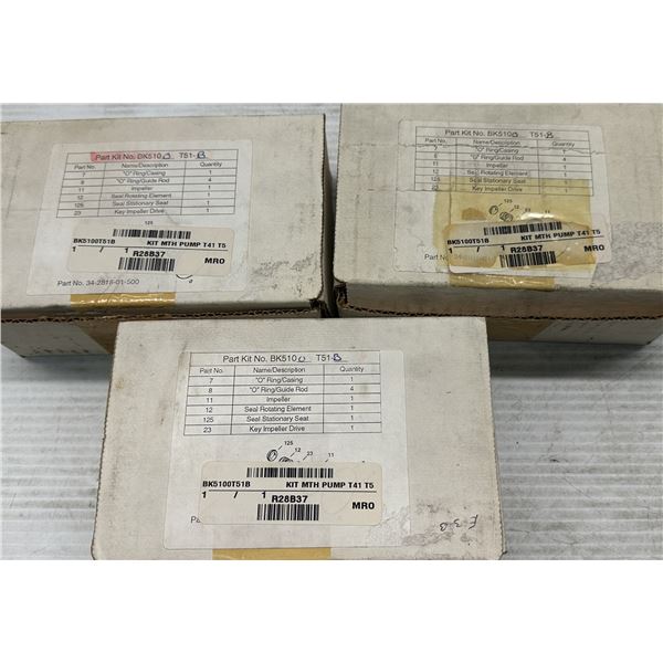 (3) Generic #34-2818-01-500 / BK5100-T51-B Pump Rebuild Kits