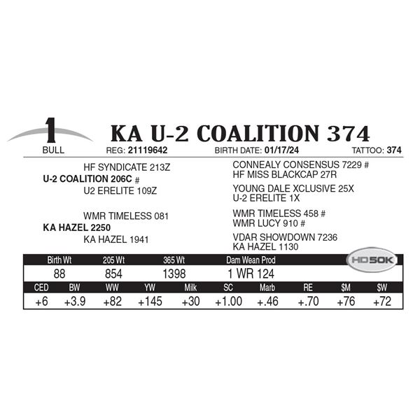KA U-2 Coalition 374