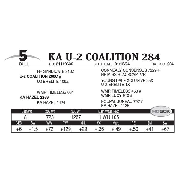 KA U-2 Coalition 284