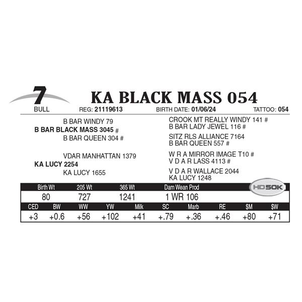 KA Black Mass 054