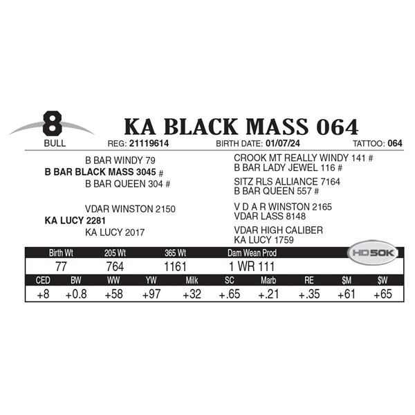 KA Black Mass 064