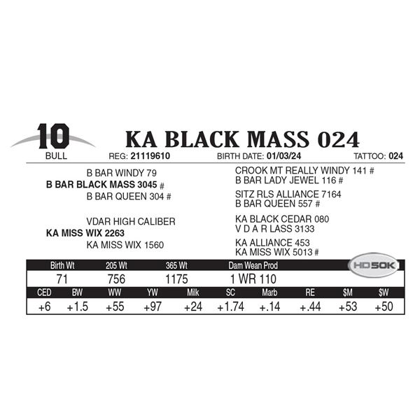 KA Black Mass 024