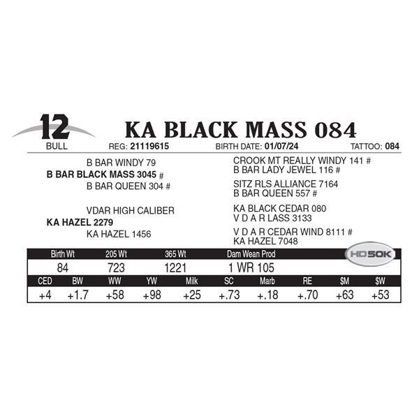 KA Black Mass 084