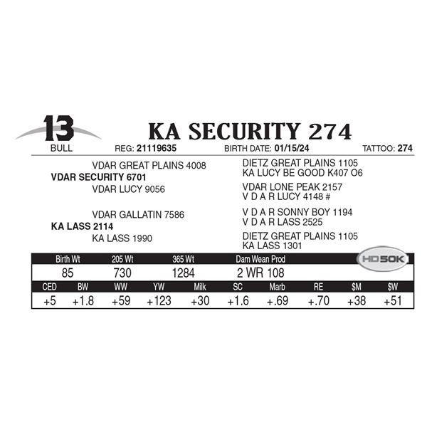 KA Security 274