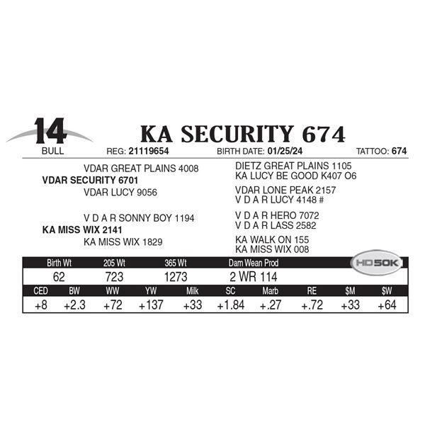 KA Security 674