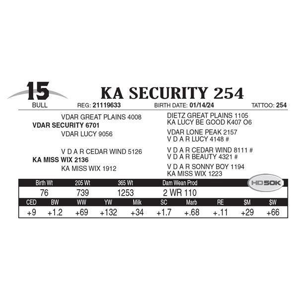 KA Security 254