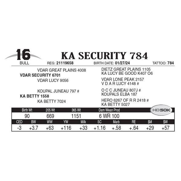 KA Security 784