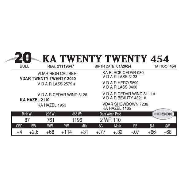 KA Twenty Twenty 454