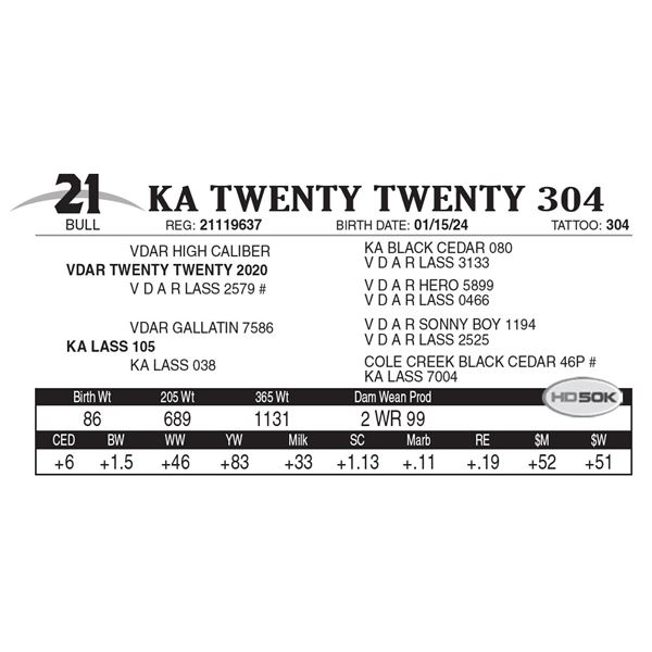 KA Twenty Twenty 304