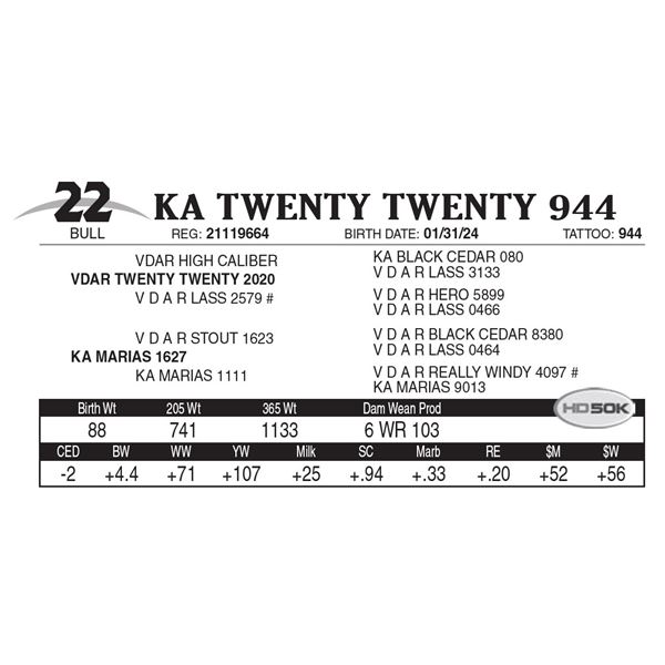 KA Twenty Twenty 944