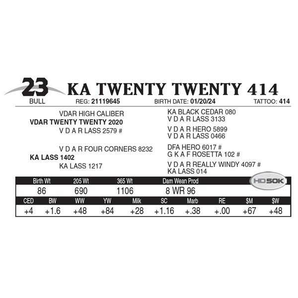 KA Twenty Twenty 414