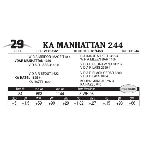 KA Manhattan 244