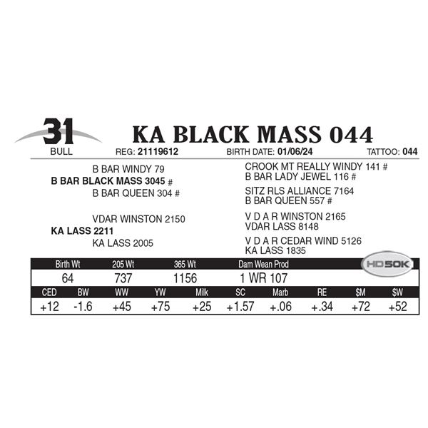 KA Black Mass 044