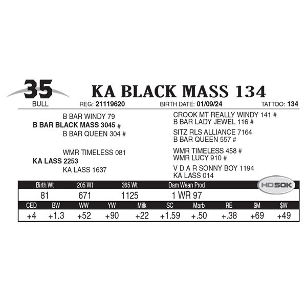 KA Black Mass 134