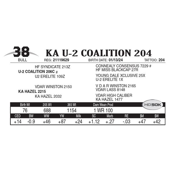 KA U-2 Coalition 204