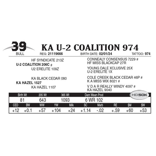 KA U-2 Coalition 974