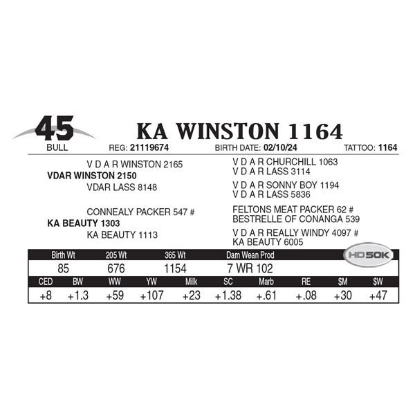 KA Winston 1164